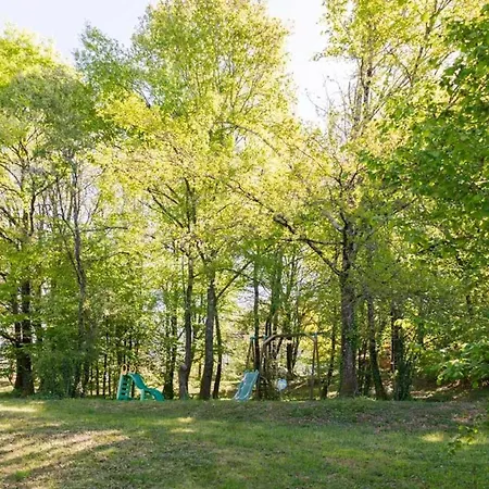 Familial A Avec Piscine Chalet