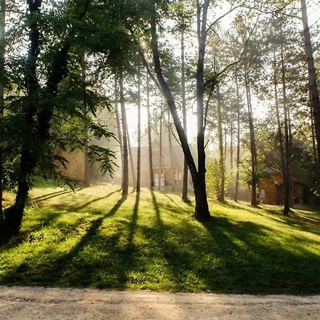 Chalet Familial A Avec Piscine